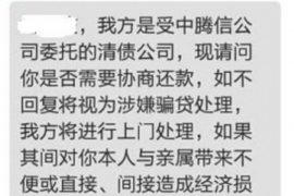 茄子河为什么选择专业追讨公司来处理您的债务纠纷？